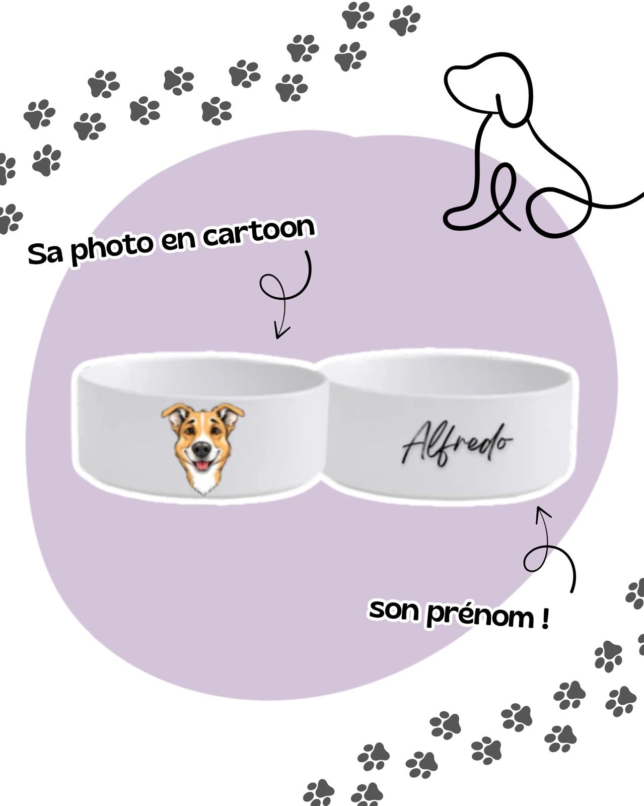 GAMELLES ANIMAUX (en cartoon)