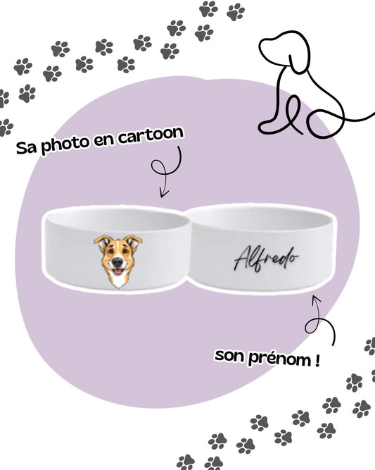 GAMELLES ANIMAUX (en cartoon)