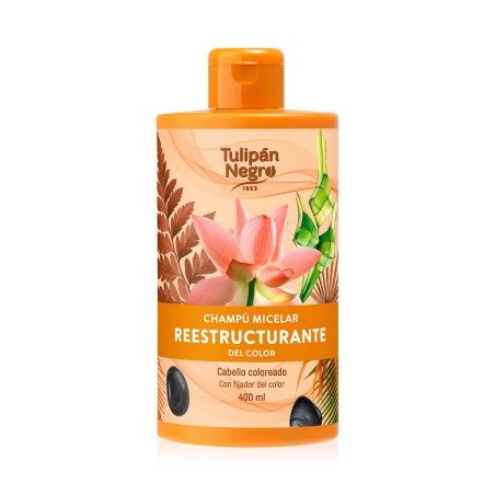 Shampoing restructurant