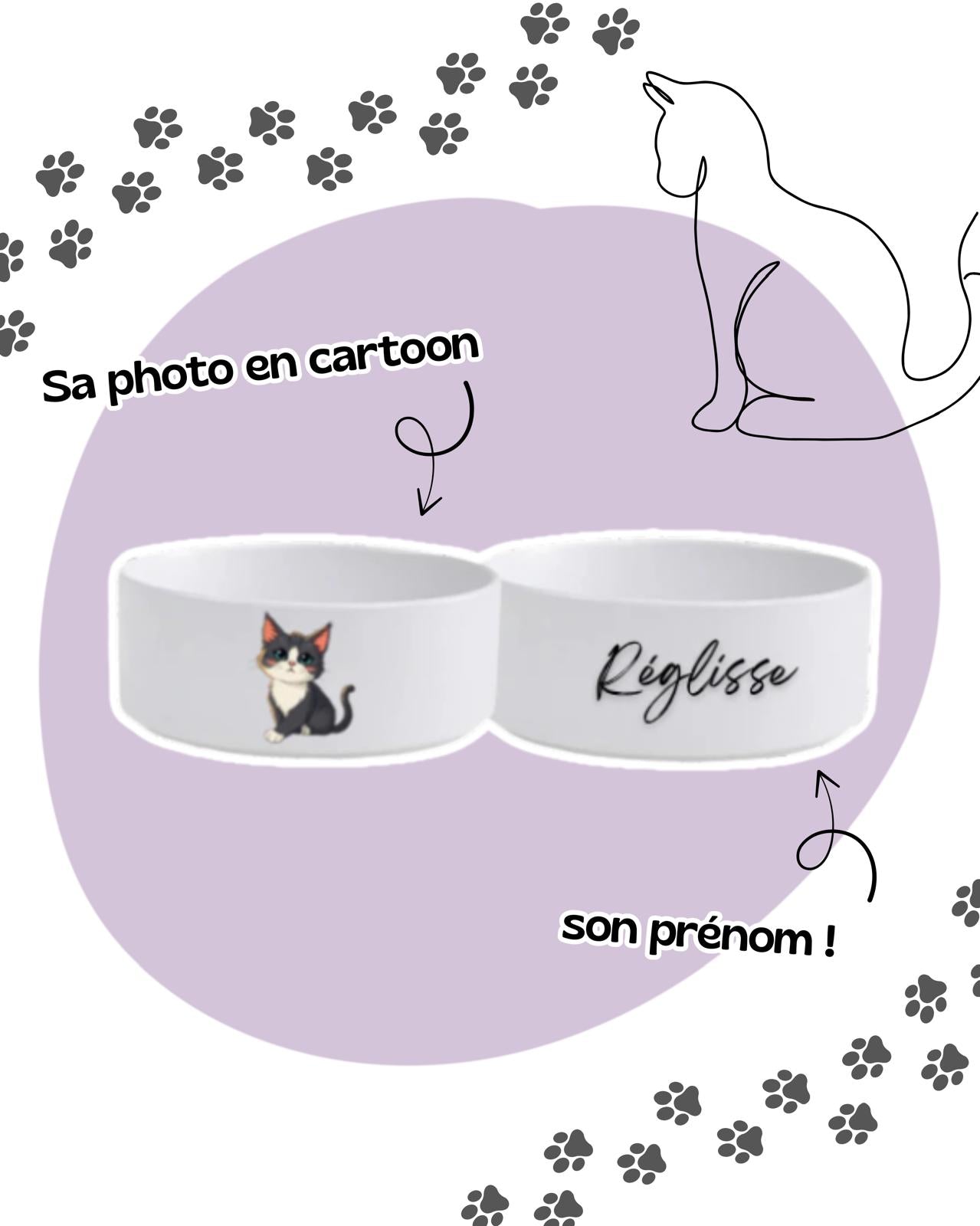 GAMELLES ANIMAUX (en cartoon)